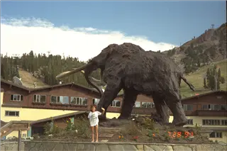 small_9107 1260 yosemite etc IMG0084.webp